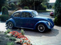 blue side1.jpg